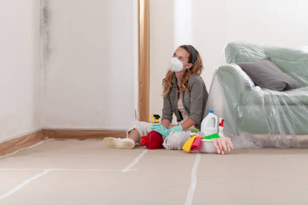 Reliable Mold Remediation contractor in Clinton, MD by Cheap Mold Removal